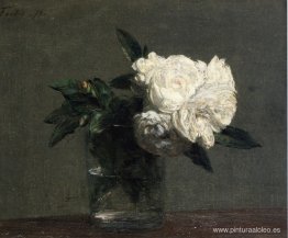 rosas rosas