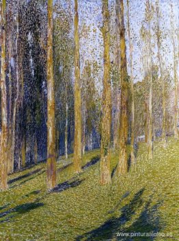 Bosque Bosque