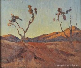 Luz del atardecer, Flinders Ranges, SA Luz del atardecer, Flinders Ranges, SA