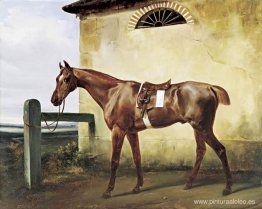 Un caballo de carreras ensillado atado a una valla Un caballo de carreras ensillado atado a una valla