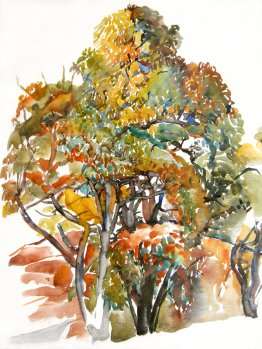 Castaños en otoño en Antagnes, Suiza Castaños en otoño en Antagnes, Suiza