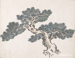 Sin título (un árbol) Sin título (un árbol)