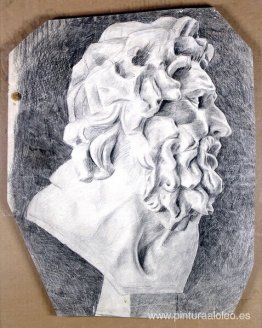 La cabeza de Laocoonte en el perfil. La cabeza de Laocoonte en el perfil.