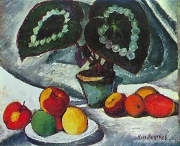 Naturaleza muerta con begonias Naturaleza muerta con begonias