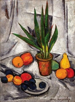 Bodegón con plantas y frutas. Bodegón con plantas y frutas.