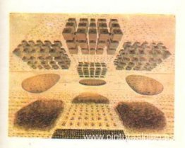 Ilustración para Nudos y signos de Nichita Stanescu Ilustración para Nudos y signos de Nichita Stanescu