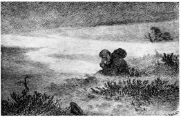 Compañero Gynt 11 Compañero Gynt 11