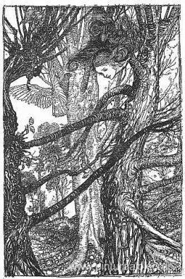 Alicia y paloma Alicia y paloma