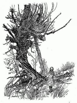 ¡Una sonrisa sin gato! Es lo más curioso que he visto en toda mi ¡Una sonrisa sin gato! Es lo más curioso que he visto en toda mi