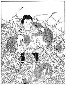 HITTY de Rachel Field 21 HITTY de Rachel Field 21