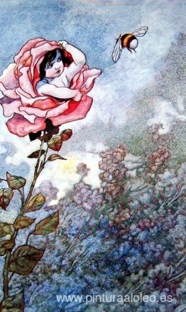 Niño escondido en Rose Niño escondido en Rose