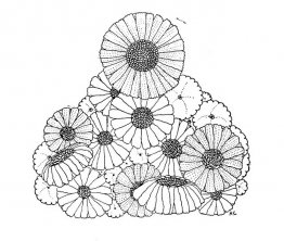 El año es en primavera El año es en primavera