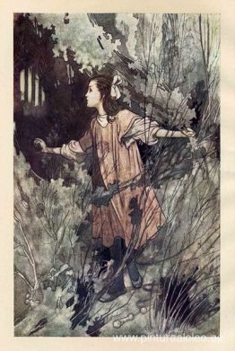 El jardín secreto El jardín secreto