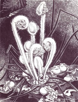 Canción de primavera Canción de primavera