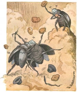 Slagsmaal Mellem a Skarnbasser Slagsmaal Mellem a Skarnbasser