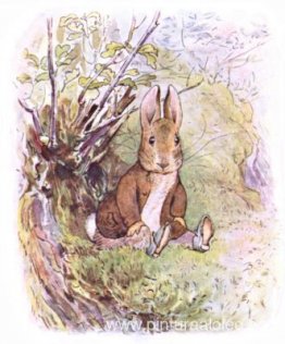 benjamin conejito benjamin conejito