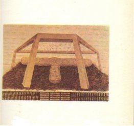 Ilustración para Nudos y signos de Nichita Stanescu Ilustración para Nudos y signos de Nichita Stanescu