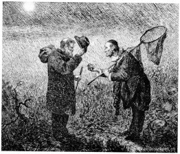 Compañero Gynt 10 Compañero Gynt 10