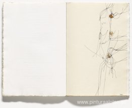 Placa de 17 variaciones de sus temas propuestos por una pura ide Placa de 17 variaciones de sus temas propuestos por una pura ide