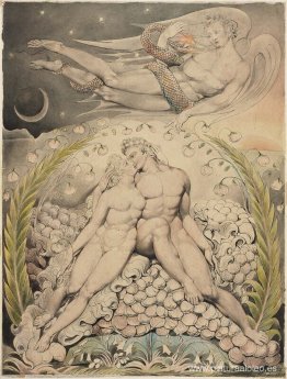 NO DETECTADO NO DETECTADO