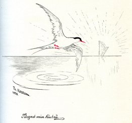 Meses del año primera pagina Meses del año primera pagina