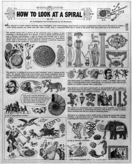 Cómo mirar una espiral Cómo mirar una espiral