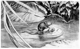 La guerra entre las ranas y los ratones 04 La guerra entre las ranas y los ratones 04