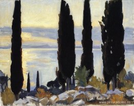 Cipreses en San Vigilio Cipreses en San Vigilio