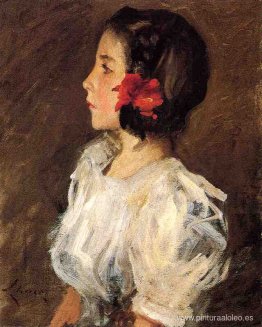 dorotea dorotea