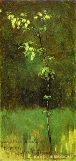 Un árbol en flor Un árbol en flor