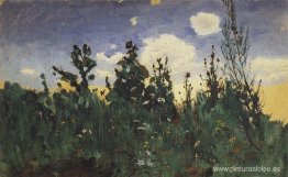 hierba salvaje hierba salvaje