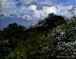 Primavera Primavera