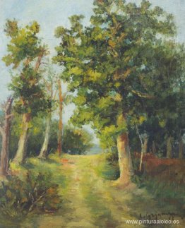 Sendero del bosque de Mogoșoaia Sendero del bosque de Mogoșoaia