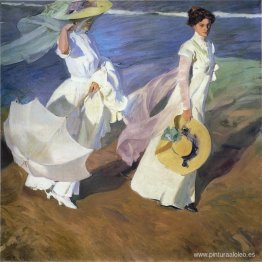 Paseando por la Orilla del Mar Paseando por la Orilla del Mar