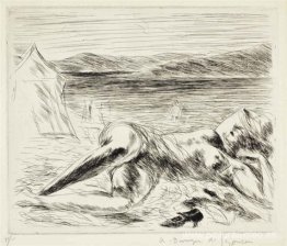 La cura del sol La cura del sol