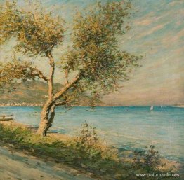 El árbol de morera El árbol de morera