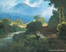 Sol de la mañana Sol de la mañana