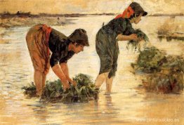 Le gramignaie al fiume Le gramignaie al fiume