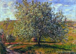 Árbol en flor cerca de Vetheuil Árbol en flor cerca de Vetheuil