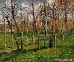 Pradera en Bazincourt Pradera en Bazincourt