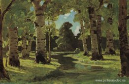 Un bosque de abedules Un bosque de abedules