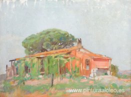 Viñedos de Provenza Viñedos de Provenza