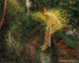 Bañista en el bosque Bañista en el bosque