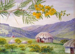 Los Doornboom y Fingo Huts de Sudáfrica Los Doornboom y Fingo Huts de Sudáfrica