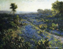 Campo de Texas Bluebonnets y cactus de tuna Campo de Texas Bluebonnets y cactus de tuna