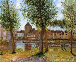 Álamos en Moret sur Loing, una tarde de agosto Álamos en Moret sur Loing, una tarde de agosto