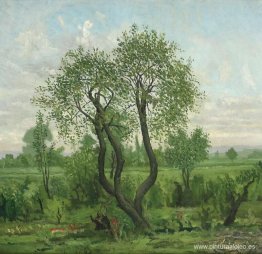 Paisaje Paisaje