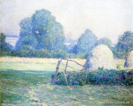 tarde de julio tarde de julio