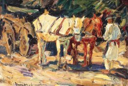 caballos descansando caballos descansando