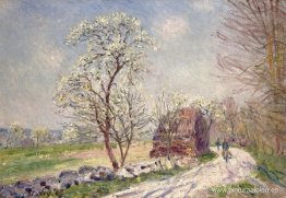 A lo largo del bosque en primavera A lo largo del bosque en primavera